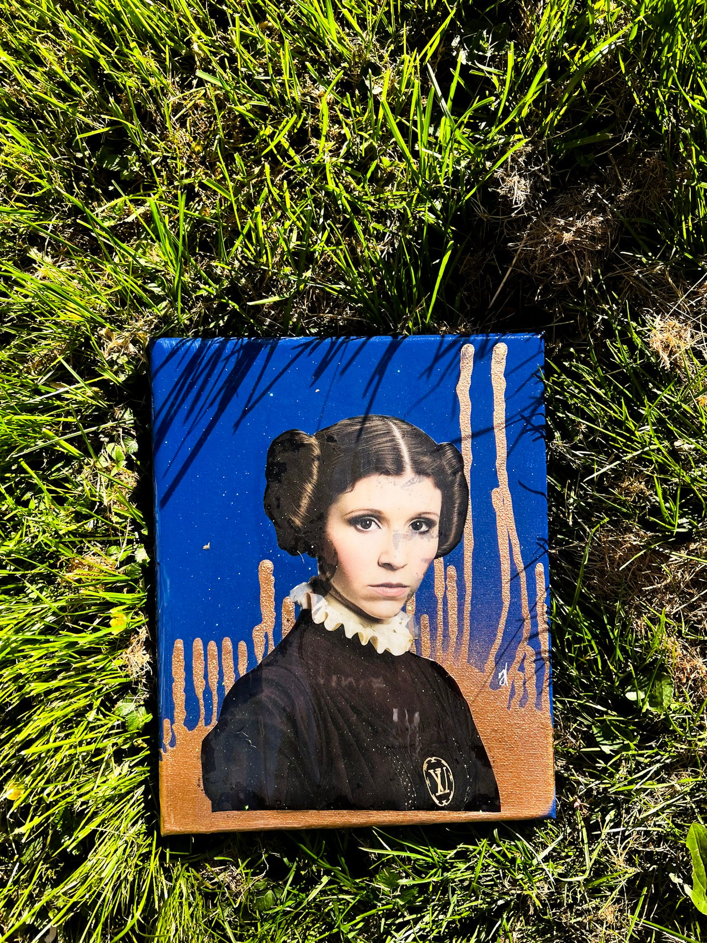 Star Wars :Princess Leia
